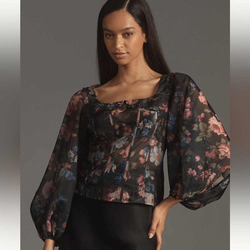 NWOT Anthropologie Sheer Balloon-Sleeve Blouse 3x